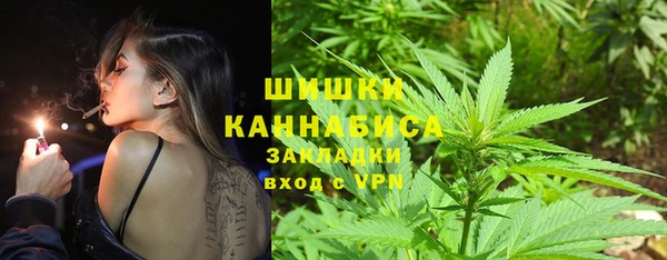 ГАЛЛЮЦИНОГЕННЫЕ ГРИБЫ Нея