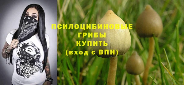 ГАЛЛЮЦИНОГЕННЫЕ ГРИБЫ Нея