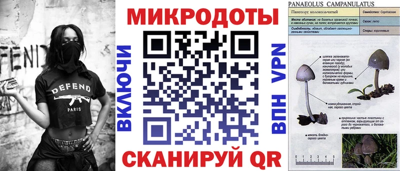 Галлюциногенные грибы мицелий  Москва 