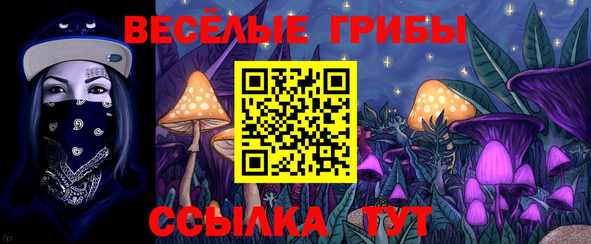 Псилоцибиновые грибы мухоморы  Псилоцибиновые грибы MAGIC MUSHROOMS  Вход с VPN  Москва 